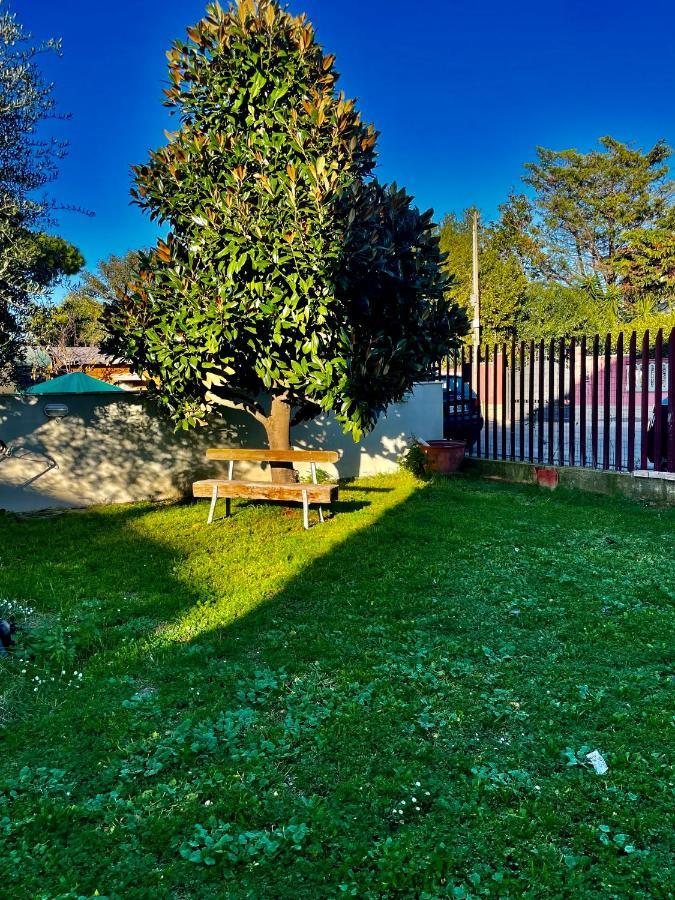Il Casaletto Di Laura Bed & Breakfast Fiumicino Eksteriør bilde