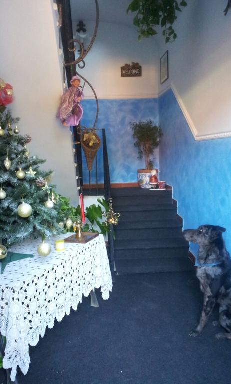 Il Casaletto Di Laura Bed & Breakfast Fiumicino Eksteriør bilde